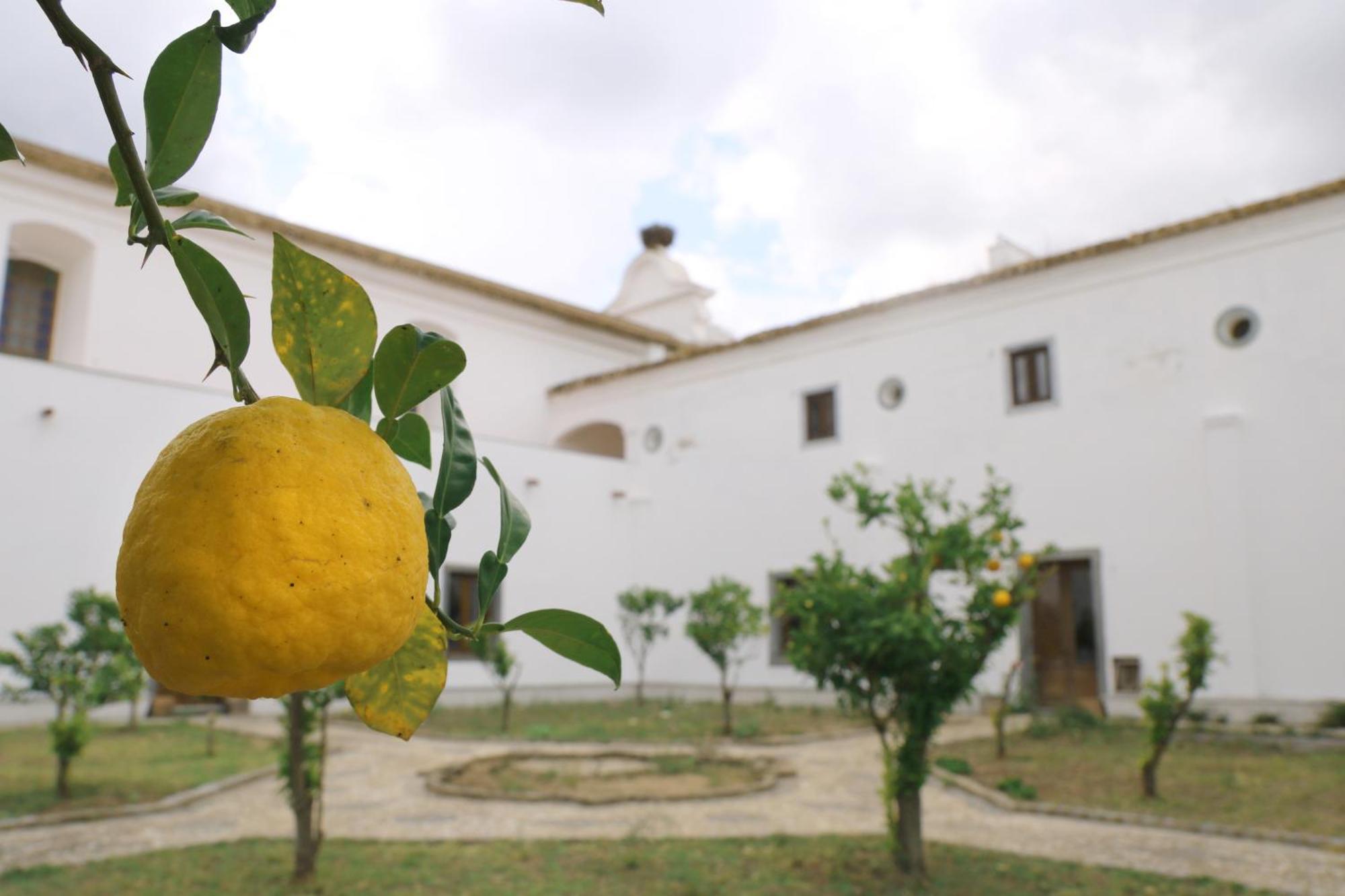 Convento Da Orada - Monsaraz ξενώνας Εξωτερικό φωτογραφία